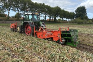 Rooien met druppelirrigatieslangen op het land