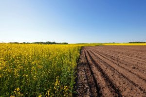 Oproep van 1 miljoen euro voor demonstratieprojecten in de land- en tuinbouw