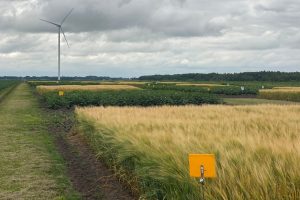 HLB werkt aan bouwplan van de toekomst